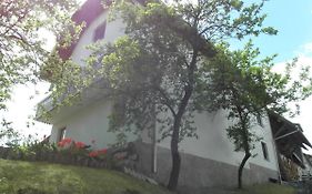 Pr' Hribar