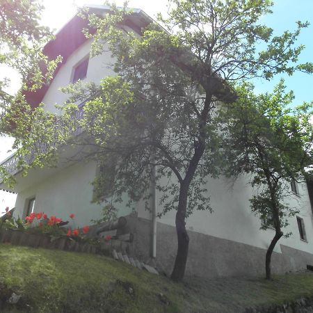 Pr' Hribar Apartment Zgornje Gorje Exterior photo