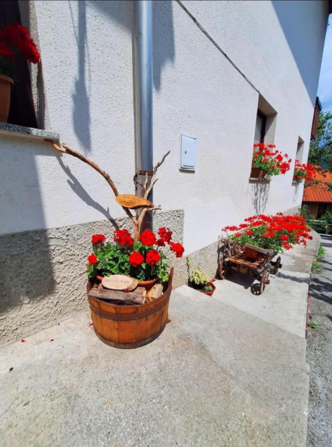 Pr' Hribar Apartment Zgornje Gorje Exterior photo