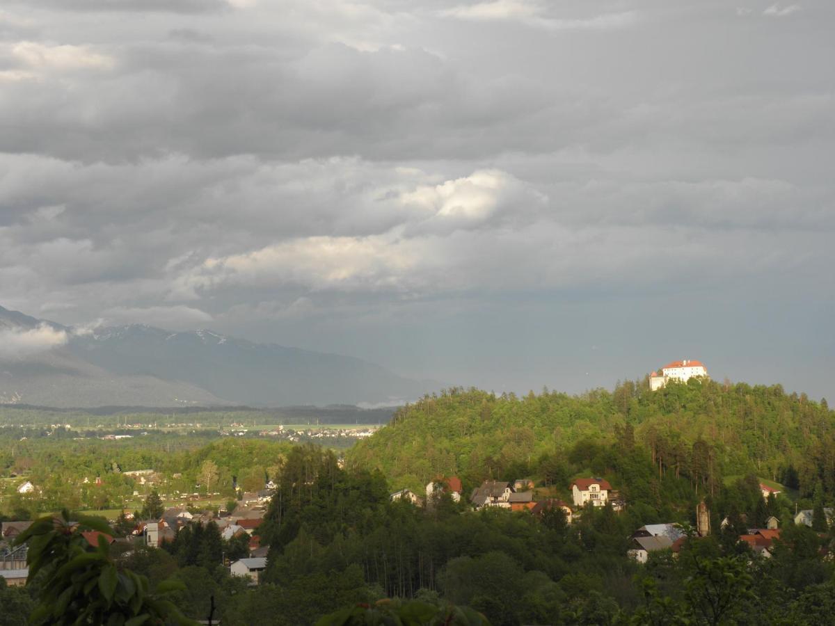 Pr' Hribar Apartment Zgornje Gorje Exterior photo